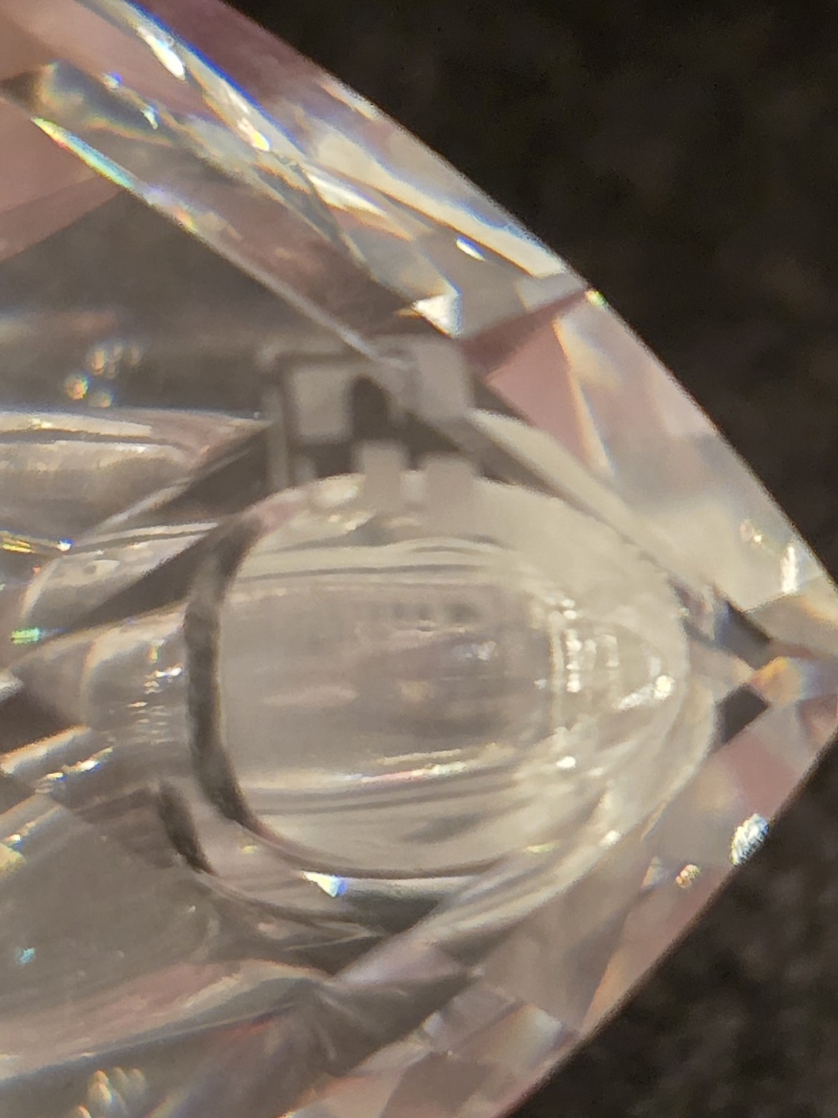 4 SWAROVSKI Beauties of The Lake Crystal Swans