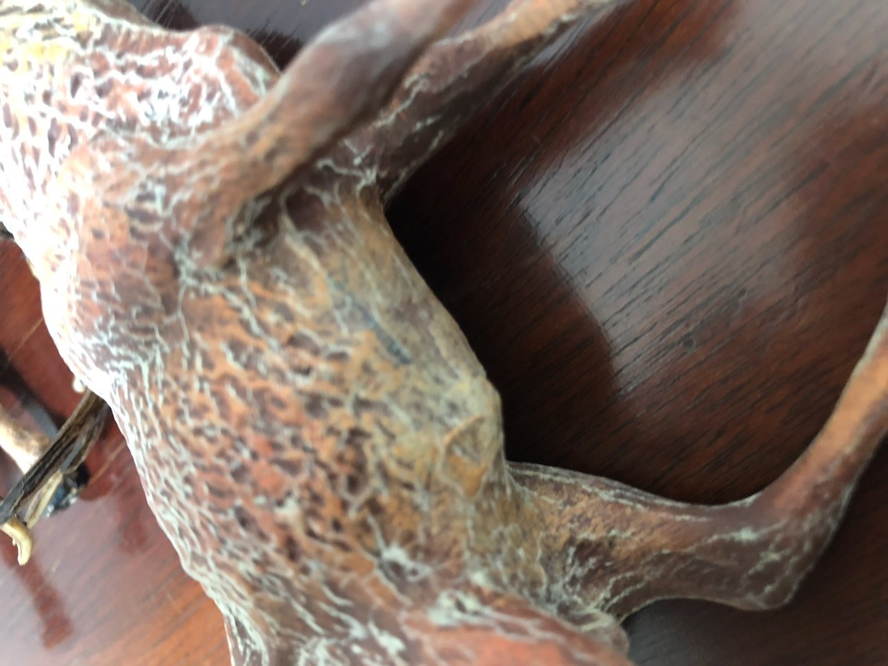 PAIR OF ANTIQUE GERMAN COMPOSITION DEER STAG RUNTING CALL 5″