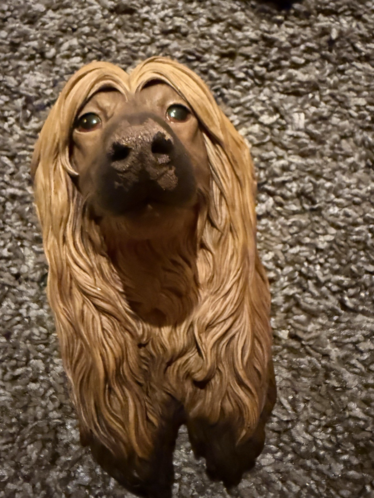 Bosson chalkware heads Afghan Hound – England