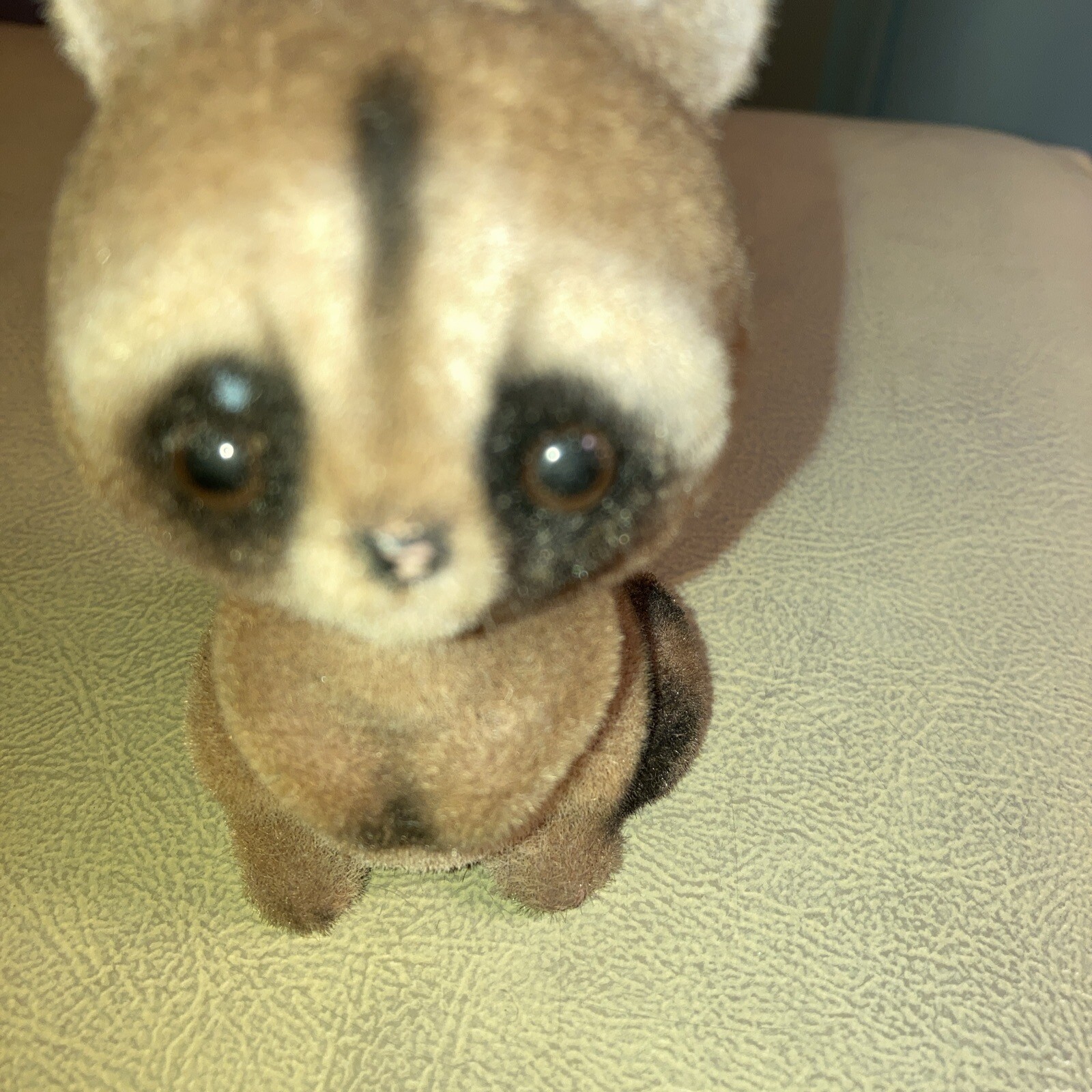 Stone Lot Of 14 Different Racoons All Shapes And Sizes with multiplecolors
