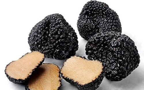 BLACK Truffle Tuber Melanosporum Dry Mycelium Spores 10 30 100 300 grams 238