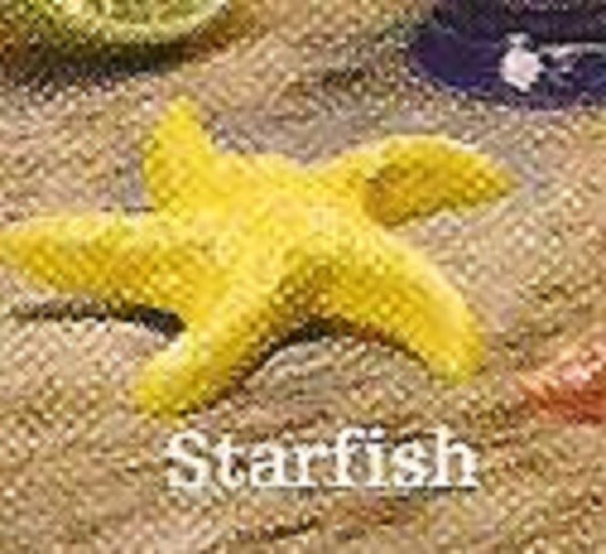 WADE STARFISH NAUTICAL 2012