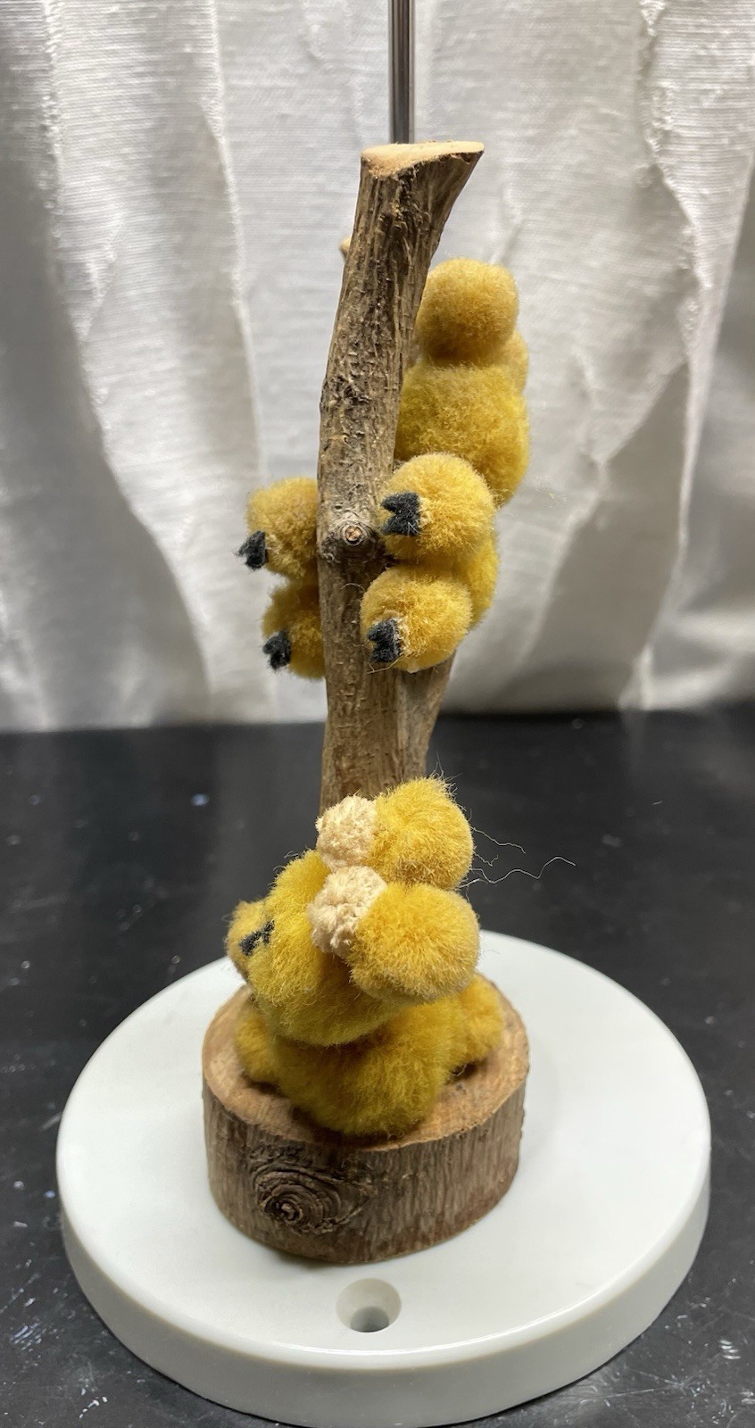 Handcrafted Miniature Animals/ Pompoms Made, Claiming a Branch, Mofy Rabbit