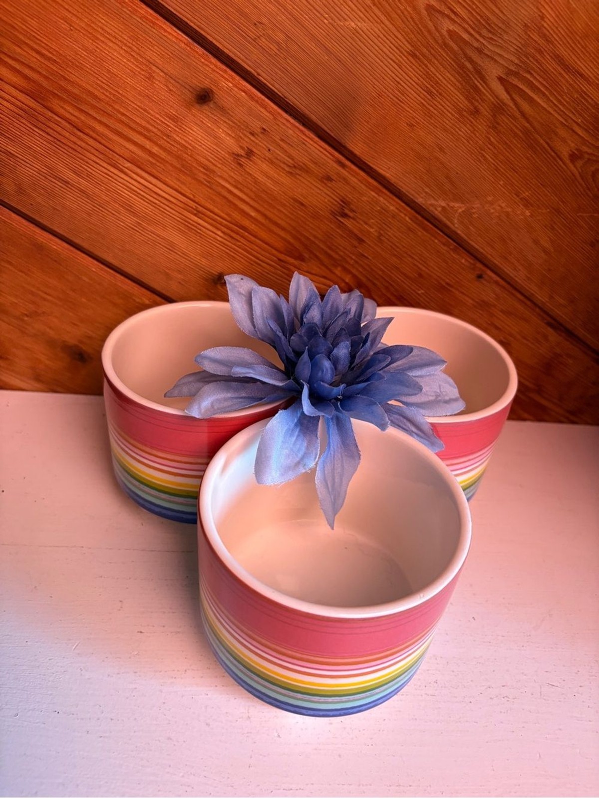 Multicolor Stripe Ceramic Planter Trio – Rainbow Accent