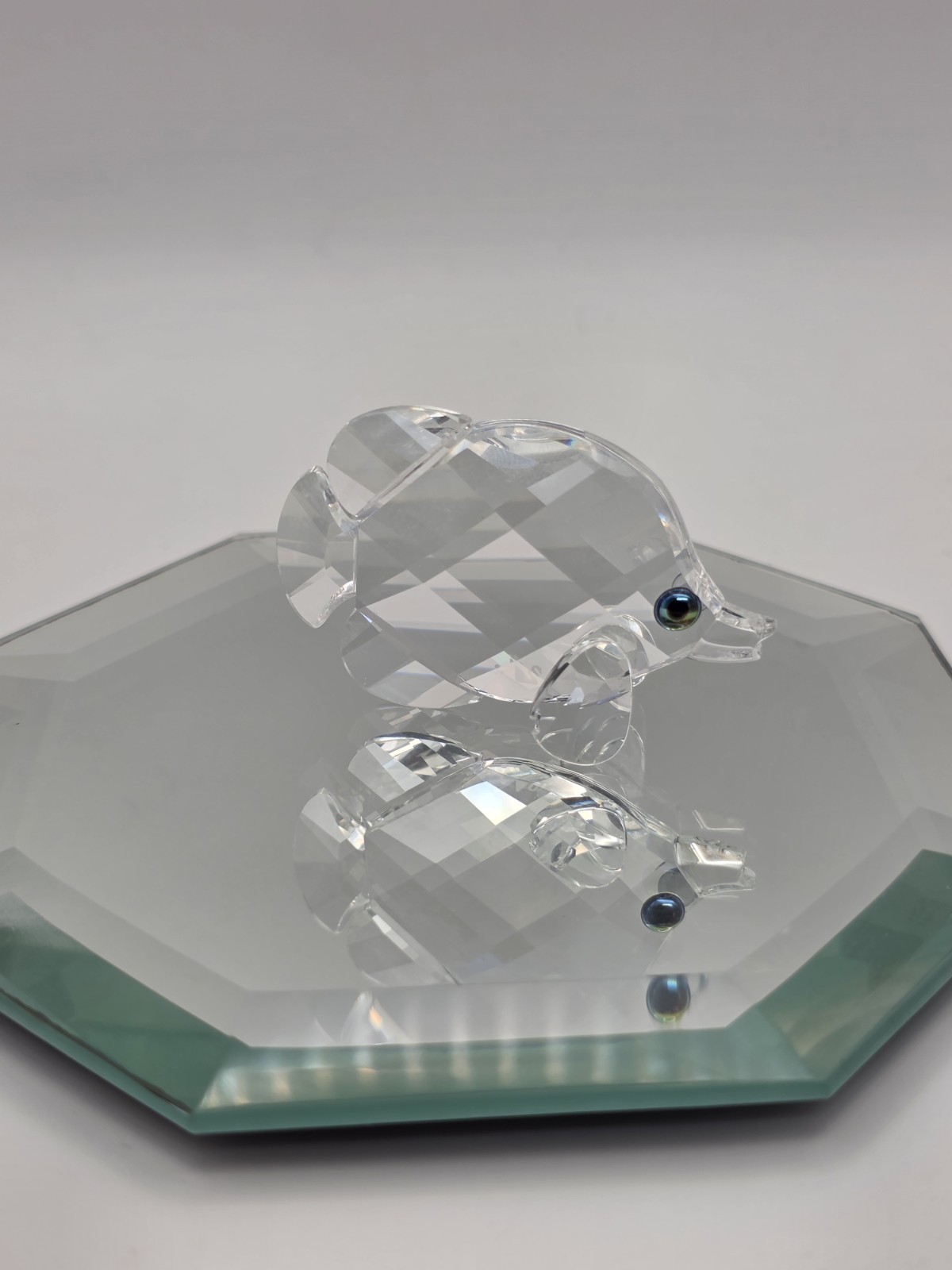 Swarovski Butterfly Fish Crystal Figurine From aquatic Worlds Collection READ