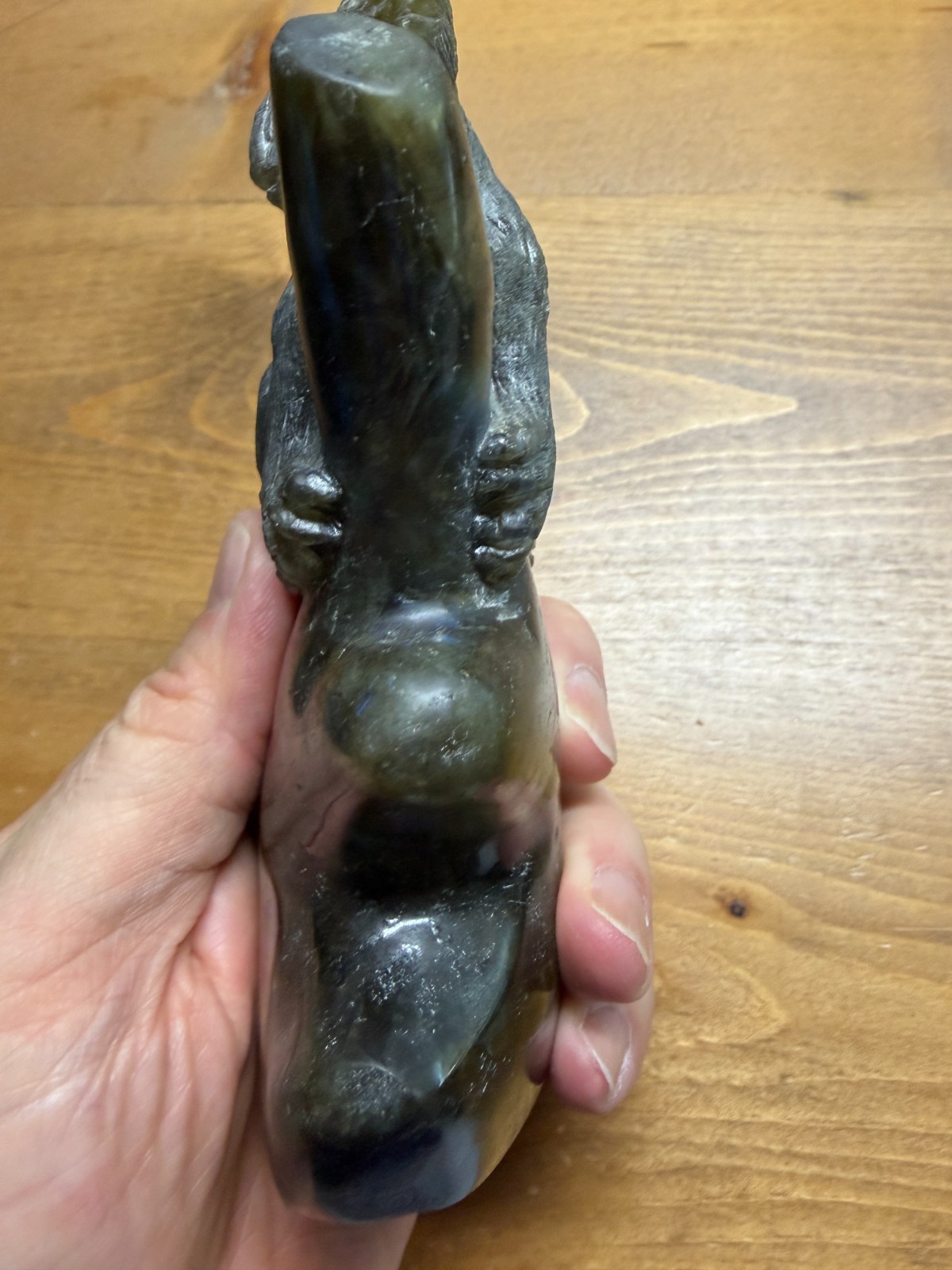 Koala Bear on Branch Labradorite 1lb 3oz 5″ x 3″ x 1.5″