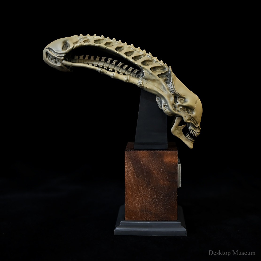 Desktop Museum Alien Skull Model Resin Ornament 15.5cm(H) New In Stock