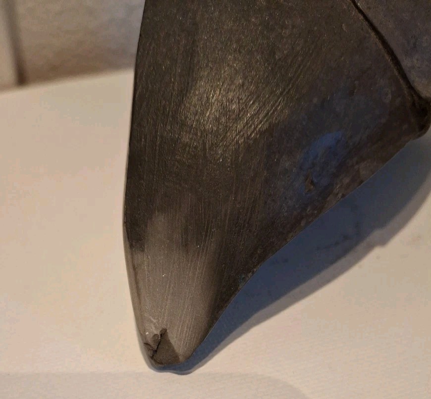 Handmade Raku Ceramic Claw?? Rhino Horn Replica?? 5.5 Inches Tall