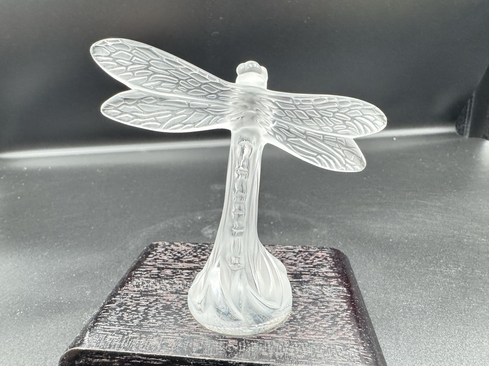 Lalique France Frosted Crystal Dragonfly Figurine Signed Art Glass