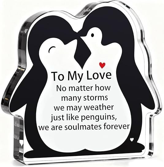 Romantic Penguin Love Gifts for Him, Her, Valentine’s Day Anniversary Birthda.