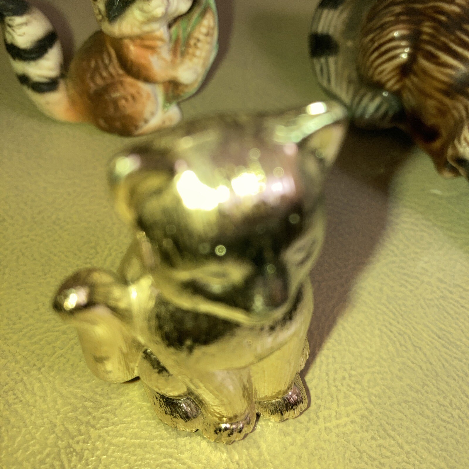 Stone Lot Of 14 Different Racoons All Shapes And Sizes with multiplecolors