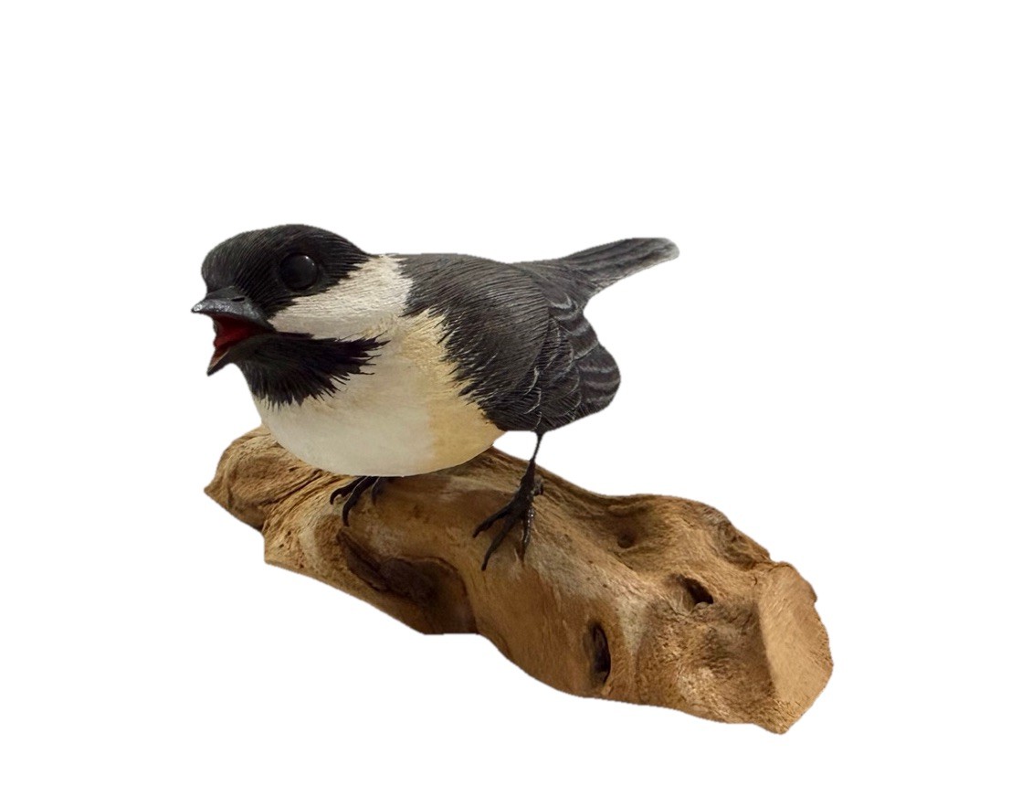 Black Capped Chickadee Bird Wood Carving Pete Miccacha 1981 4.75×4.75×2.75