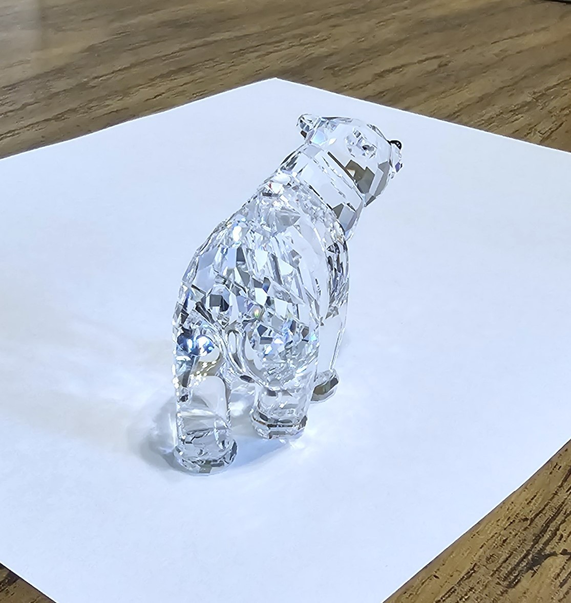 🐻 Swarovski Crystal 2006 Rare Encounters, Medium, “Brother” Bear Figurine, NIB