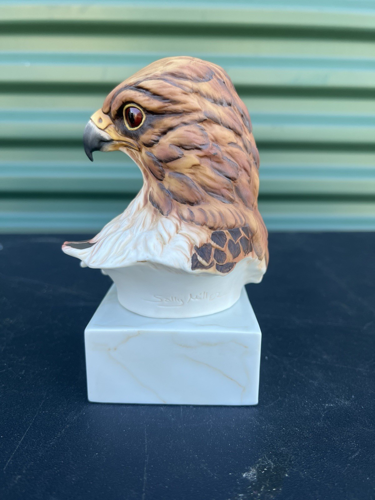 Peregrine Falcon Art Sculpture Bust & Base By Sally Miller Limited Edition
