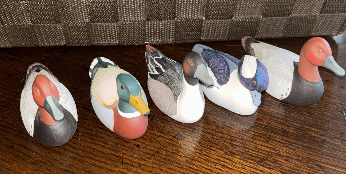 VINTAGE -mixed 1983/84 AVON COLLECTOR DUCK SERIES EXCELLENT Set Of 5