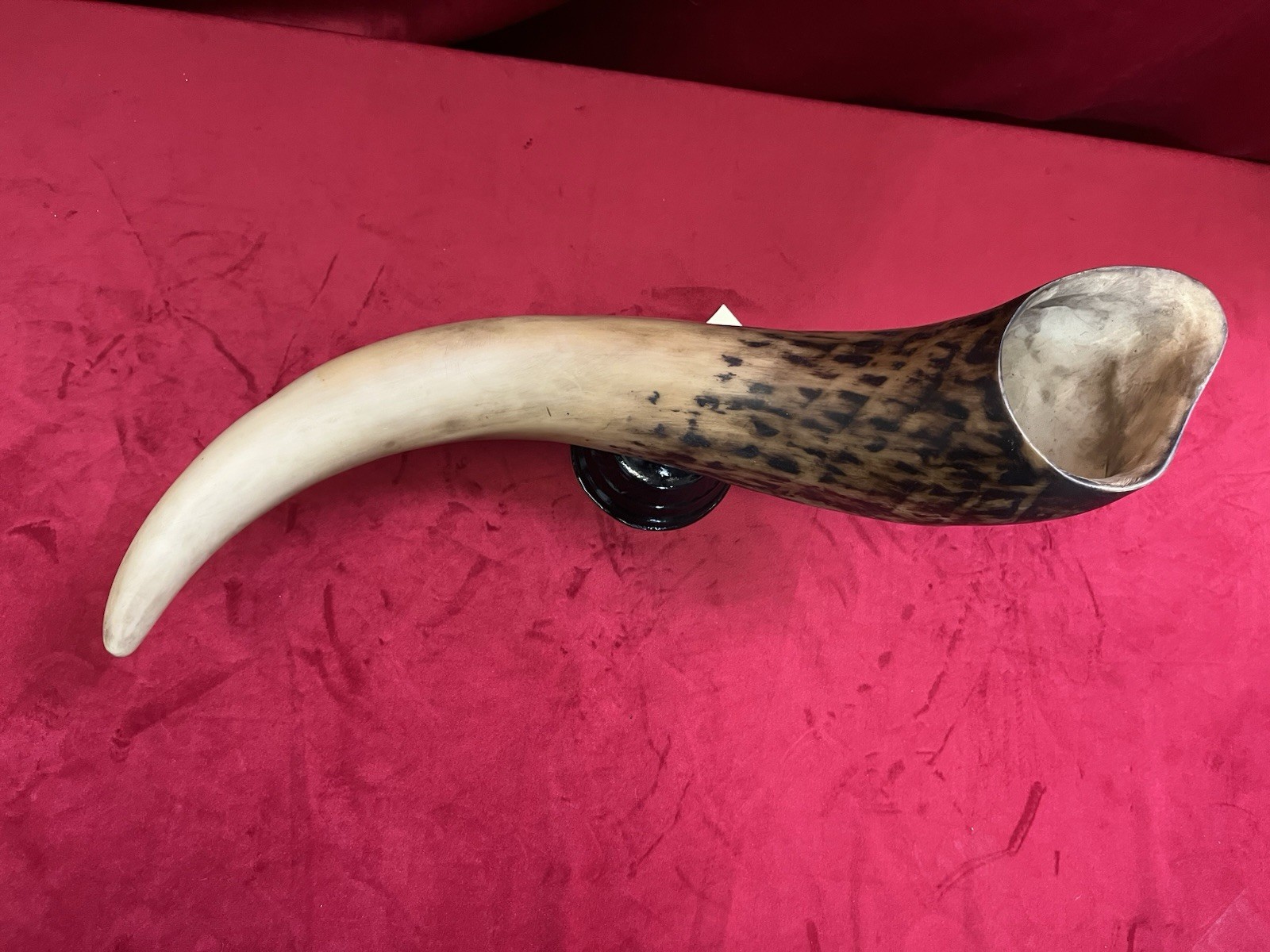 Resin Buffalo, Cow, Rhino, Ram Horn Tabletop Western Decor Authentic Looking.