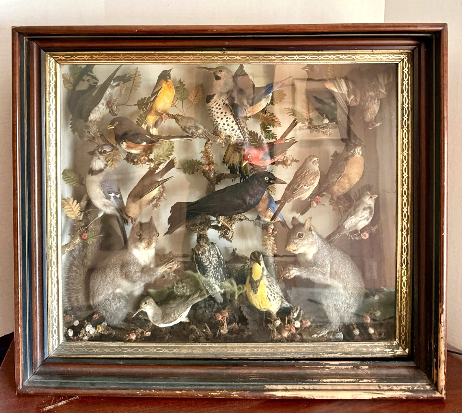 LG Antique Bird Diorama Approx. 20 Species of Birds Mounted in Tree, Glass Case