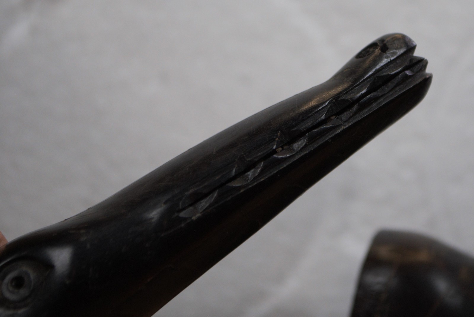 Hand carved water? buffalo horn unknown maker & location 2 piece container case