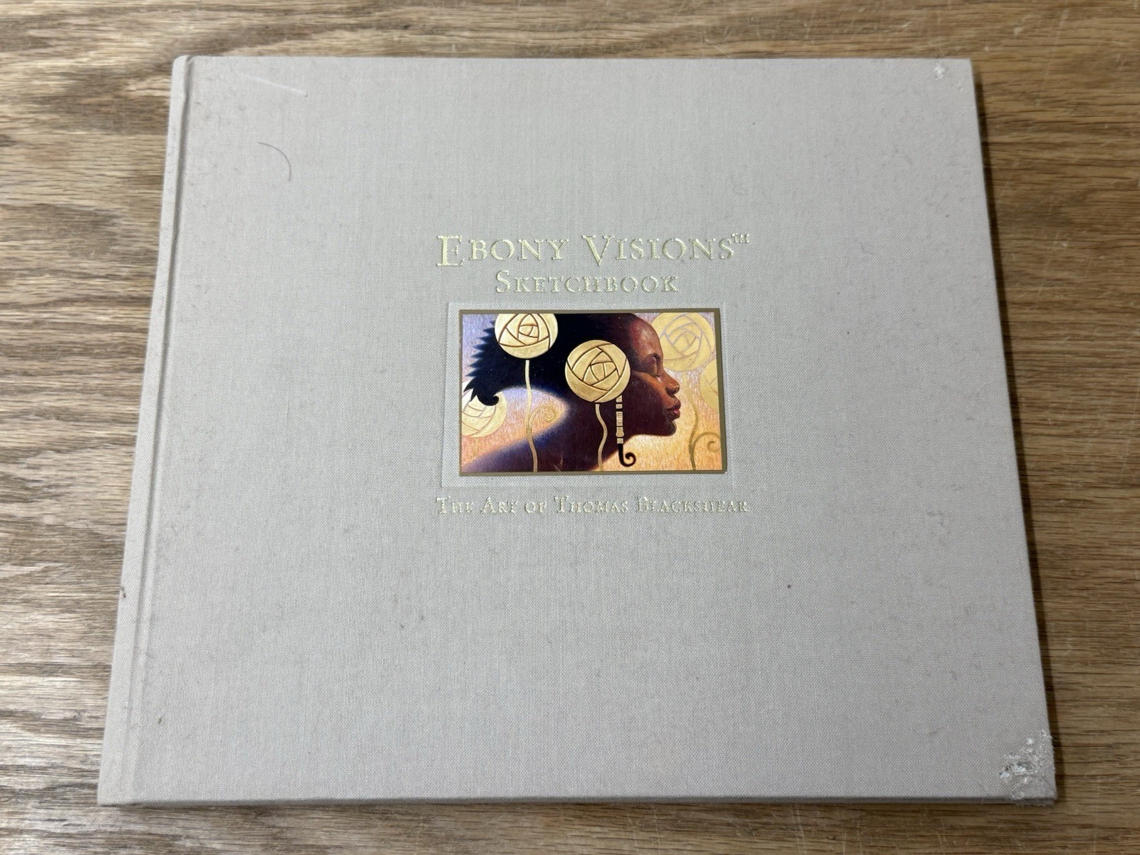 Thomas Blackshear’s Ebony Visions Sketchbook 1998 Willitts Designs Book
