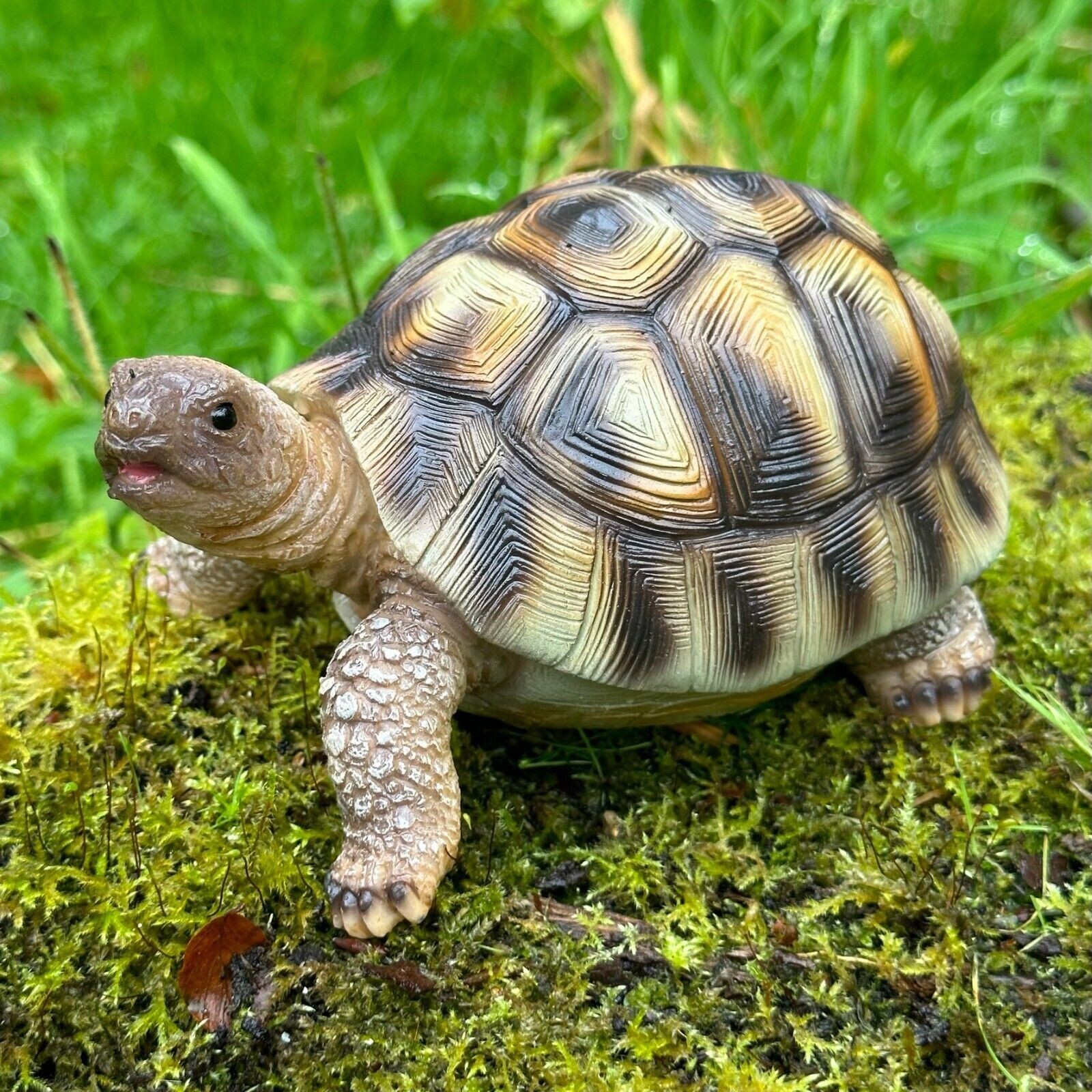 Tortoise ornament figurine home or garden decoration statue turtle lover gift