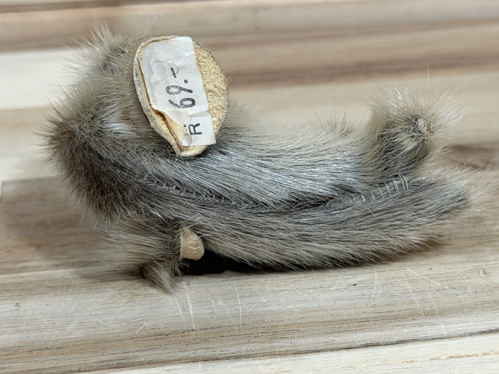 Awesome Real Fur & Leather Seal And Pup 3”Figurine New With Price Sticker