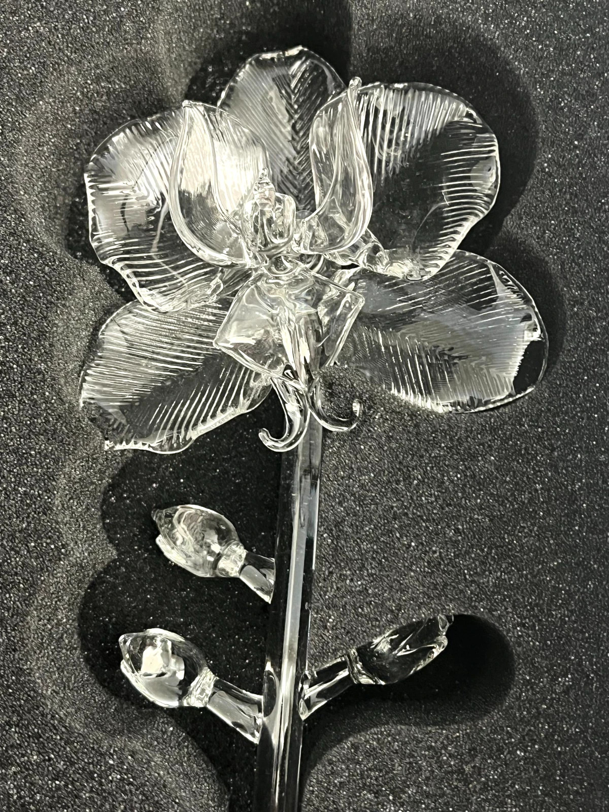 Rare Waterford Fleurology 15” Clear Crystal ORCHID Sculpture in Original Box NIB
