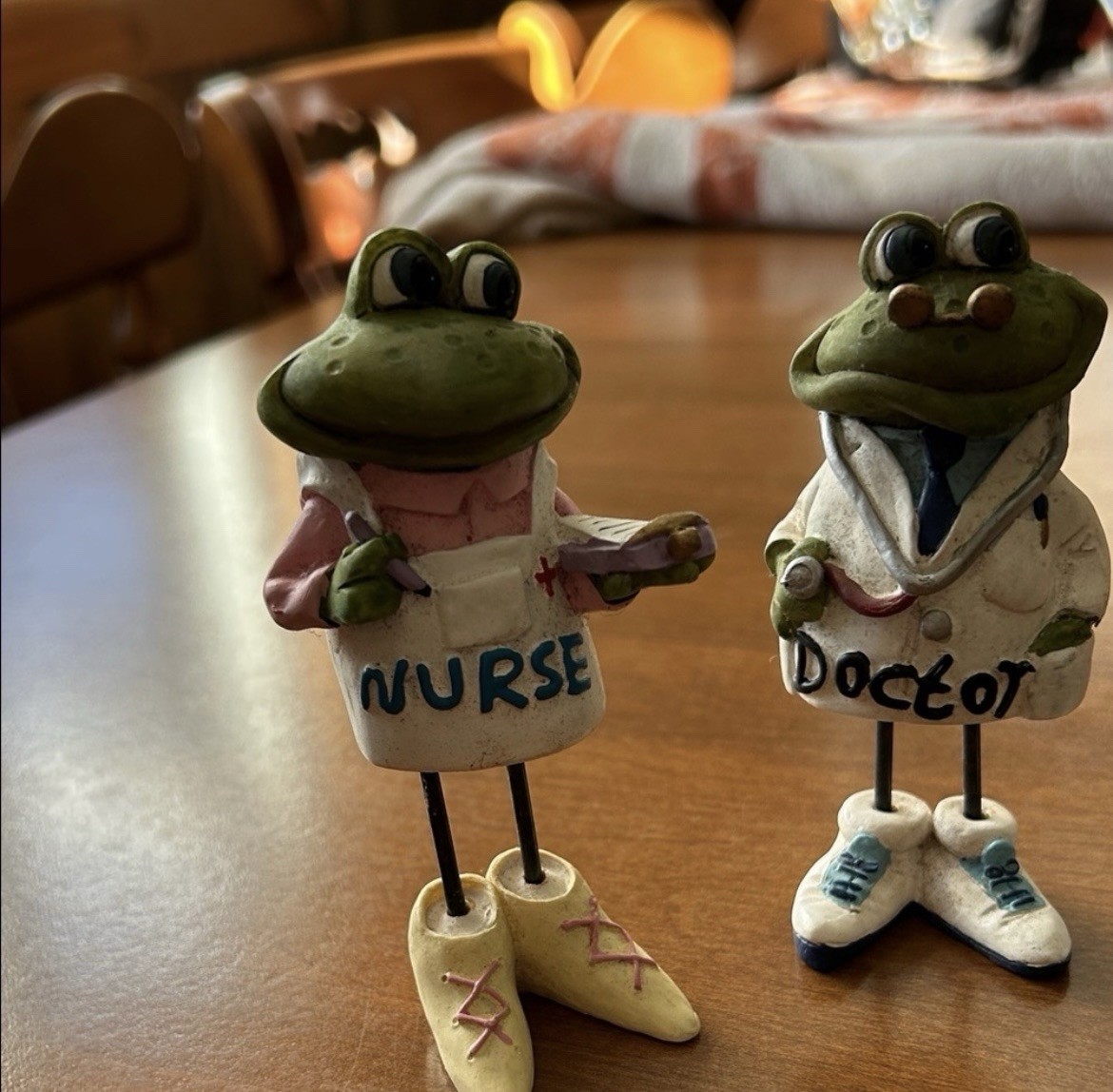 Frog Figurine Set Nurse Doctor Golf Nut Coach Police
