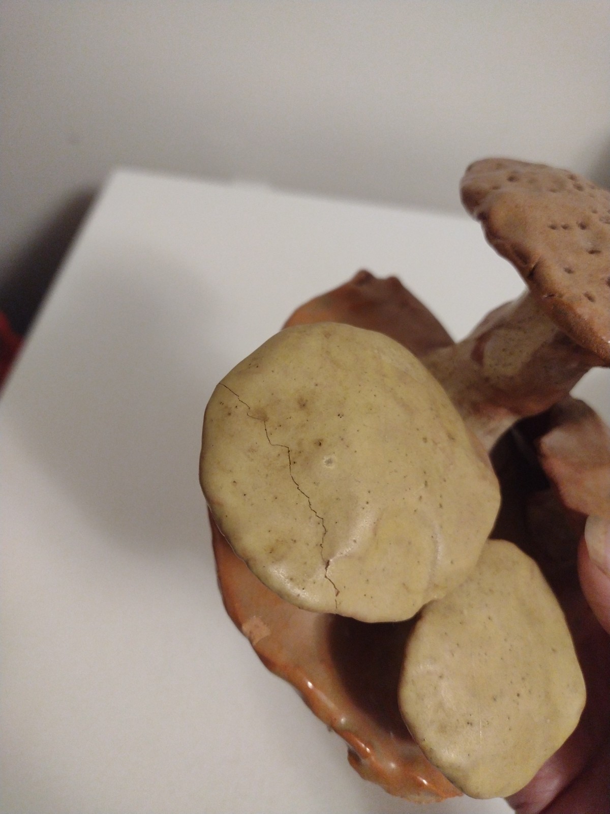 Vintage Sponge Mushroom Studio Clay Pottery Artisan Handmade
