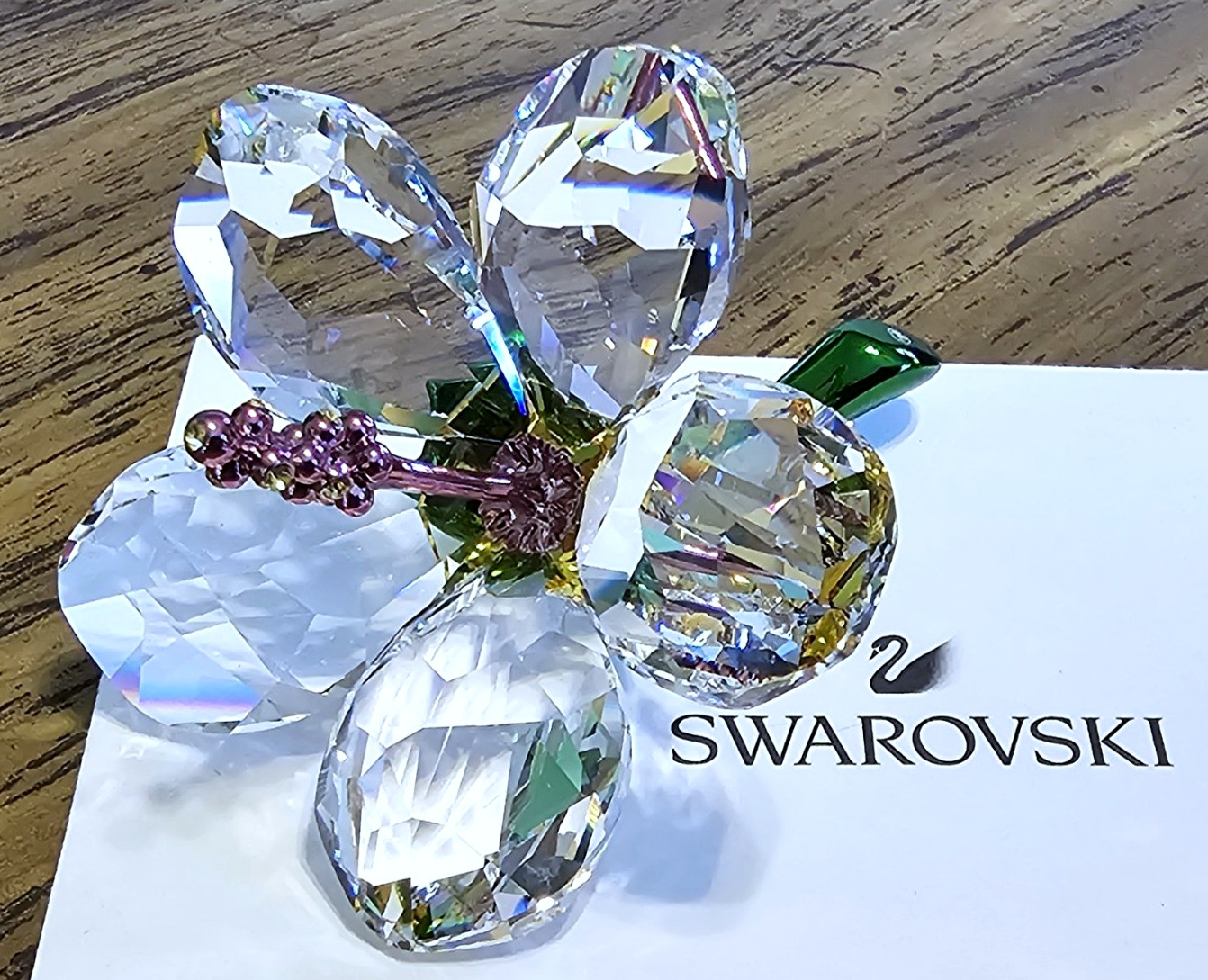 🌺 Swarovski Crystal 2025 “Florere Collection”, Hibiscus Flower Figurine NIB