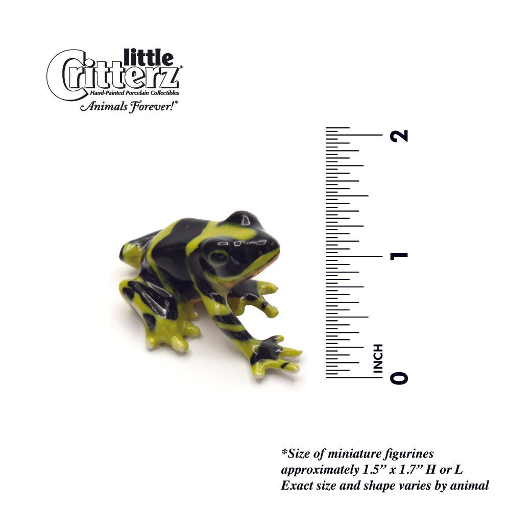 Little Critterz Frog Poison Dart Frog “Harlequin” – Miniature Porcelain Figurine