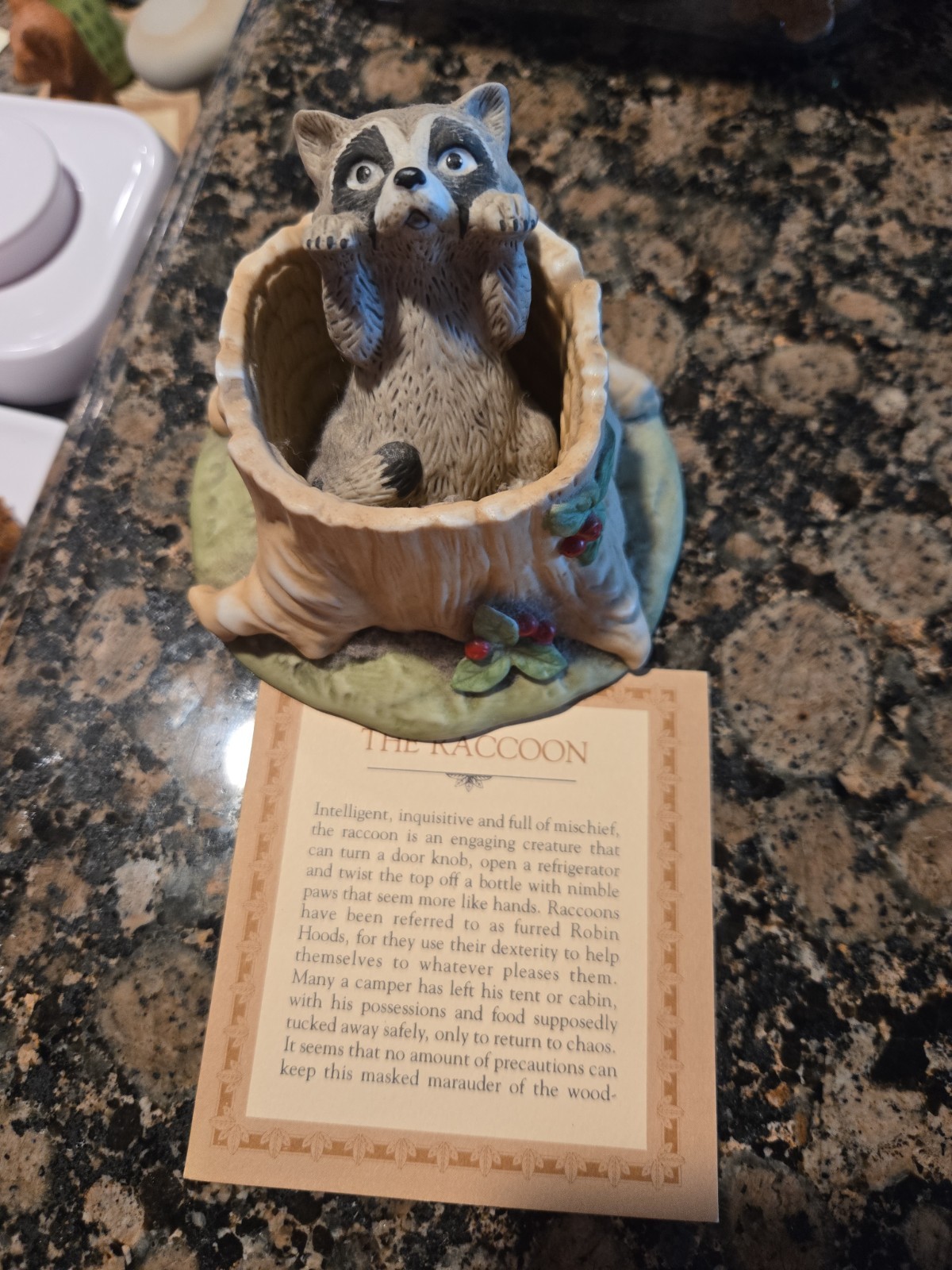 VTG Franklin Mint 1984 Woodland Surprises Raccoon HandPainted Jacqueline B Smith