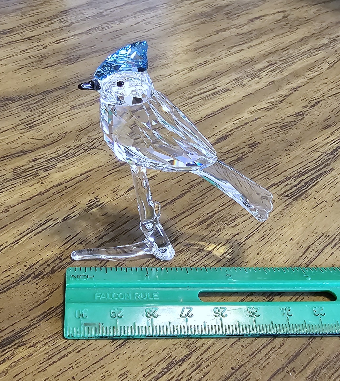 🐦 Swarovski Crystal 2019 Feathered Beauties, Large, Blue Jay Bird Figurine, NIB