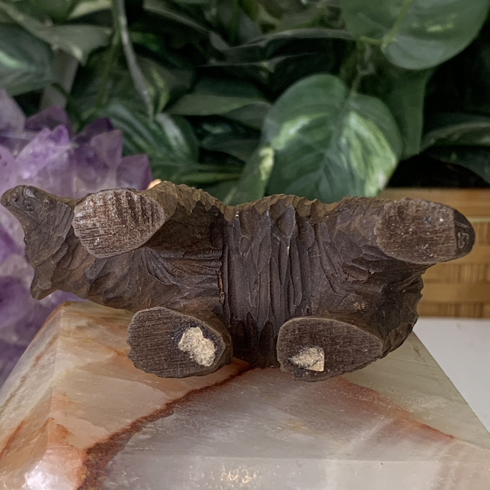 Vintage German or Swiss Black Forest or Brienz Carved Wood Bear Figurine Carving