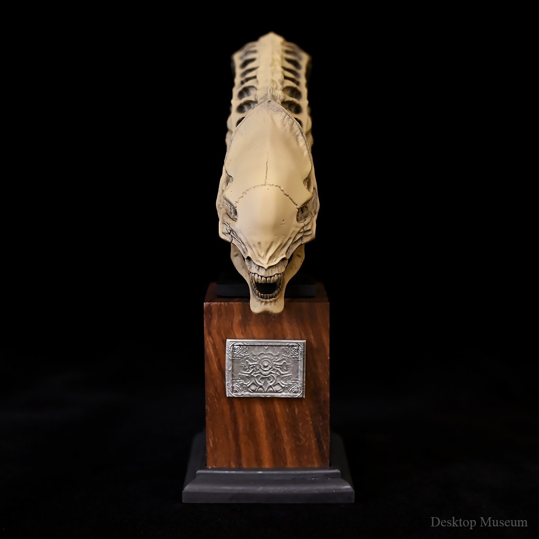 Desktop Museum Alien Skull Model Resin Ornament 15.5cm(H) New In Stock