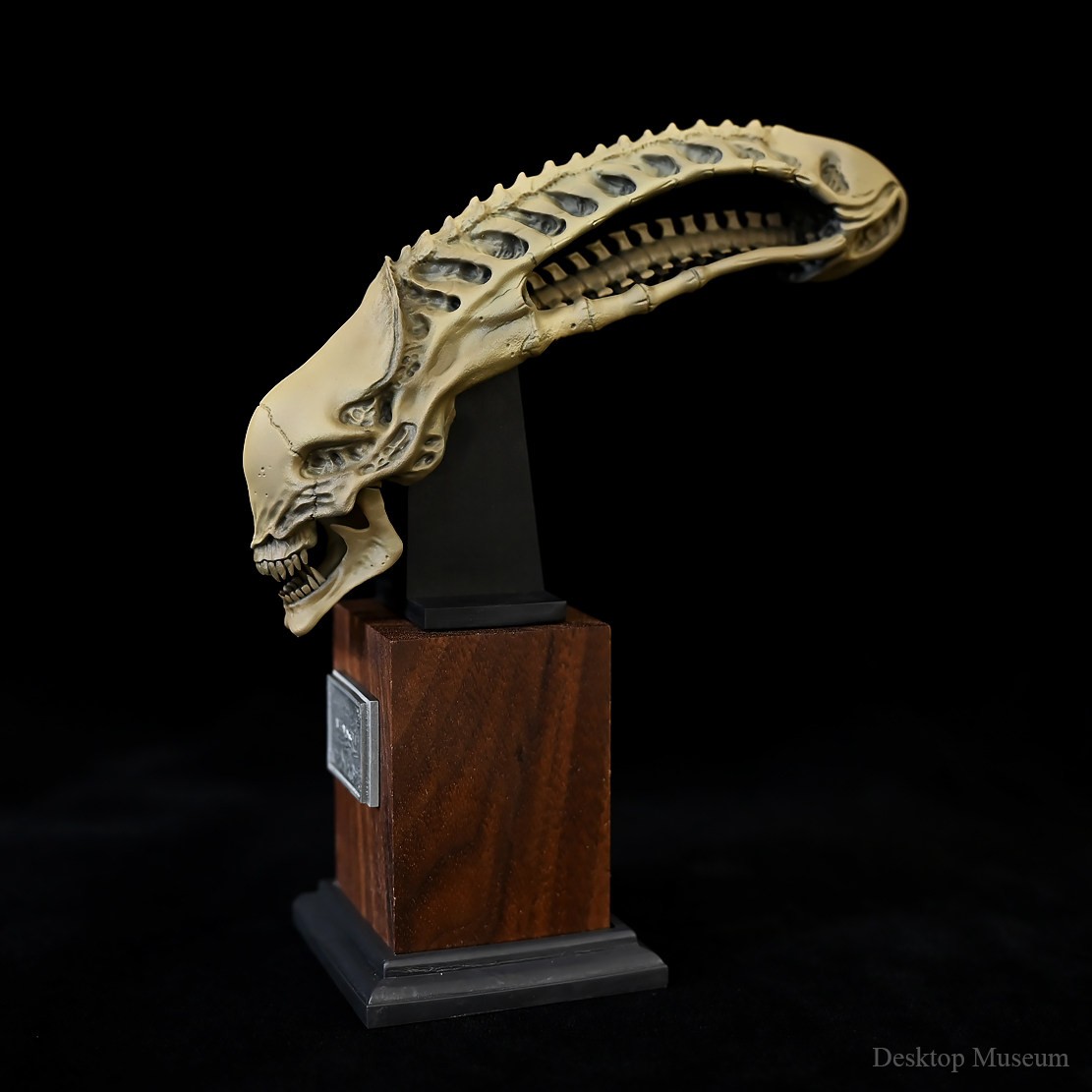 Desktop Museum Alien Skull Model Resin Ornament 15.5cm(H) New In Stock