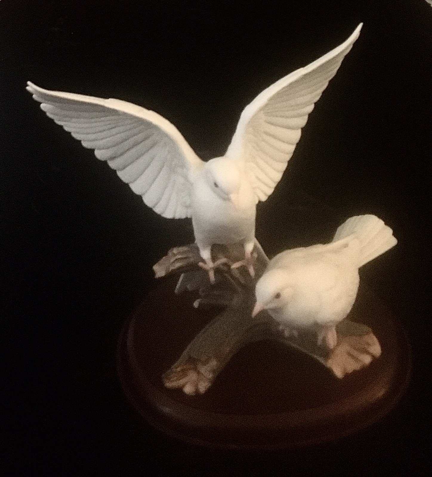 Vtg 1985 Homco Masterpiece Porcelain Doves Figurine W/ Stand by Mizuno Beautiful