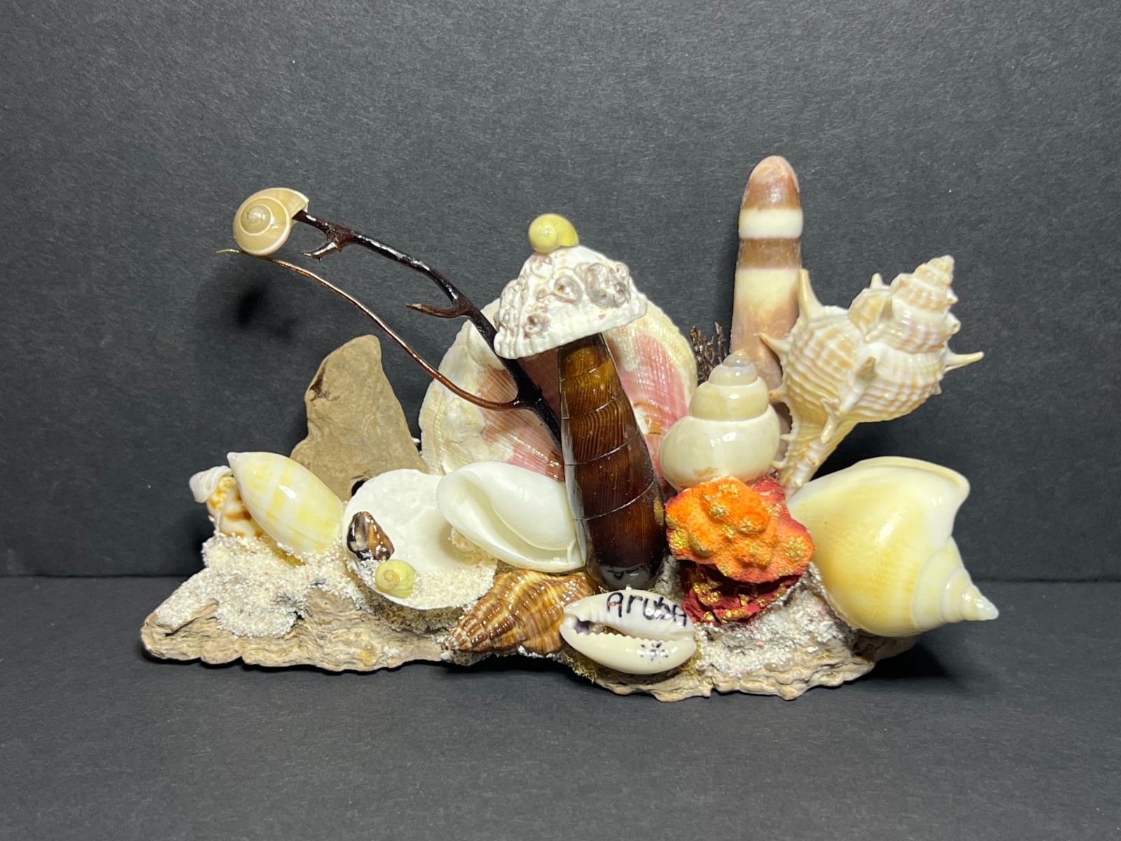 Vintage Decorative Nautical Aquatic Seashell Art Figurine Aruba Souvenir 3 x 5″