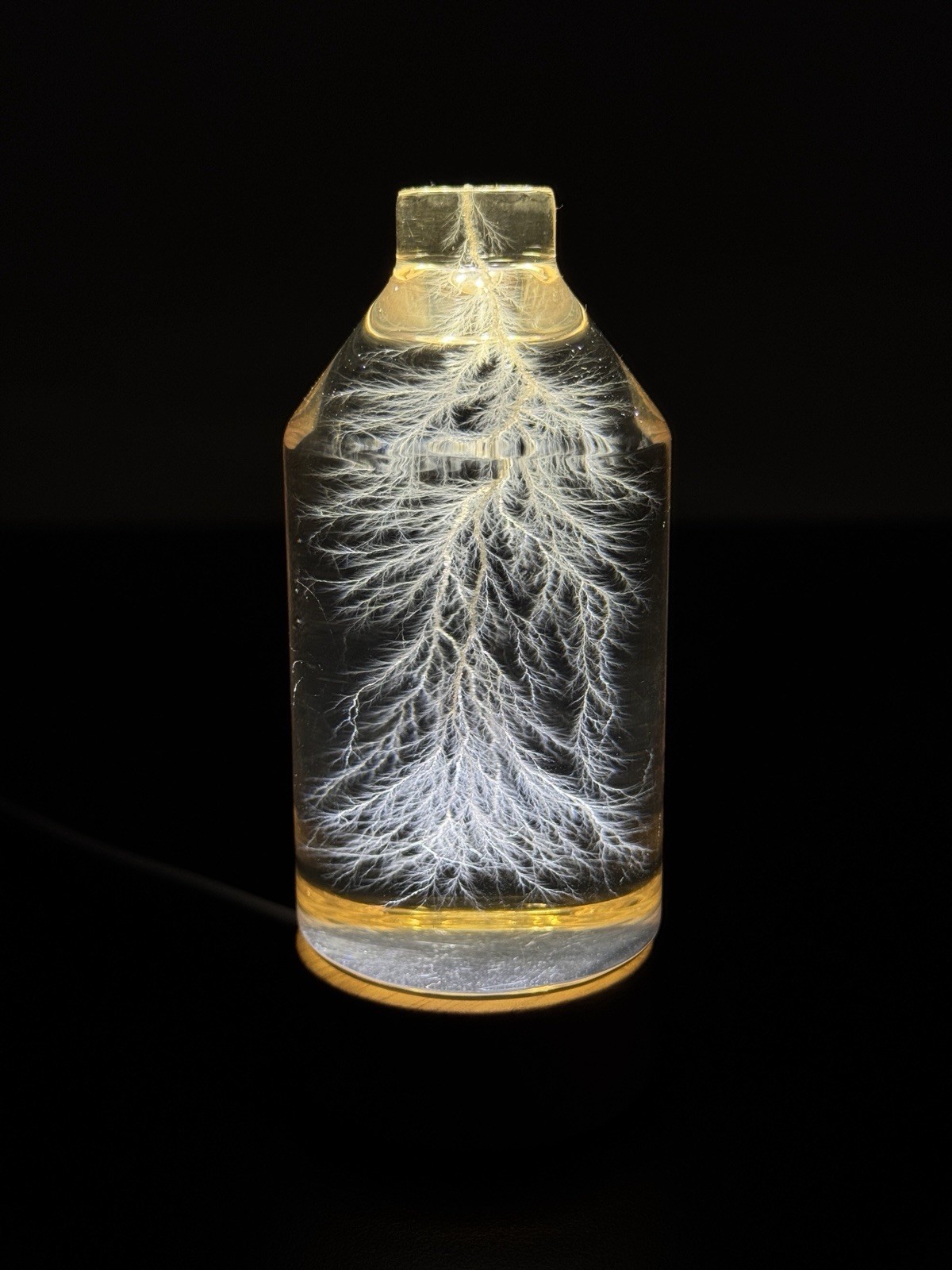 Lichtenberg Figure 2×3 Bottled Lightning with Engraving service- DM for specific