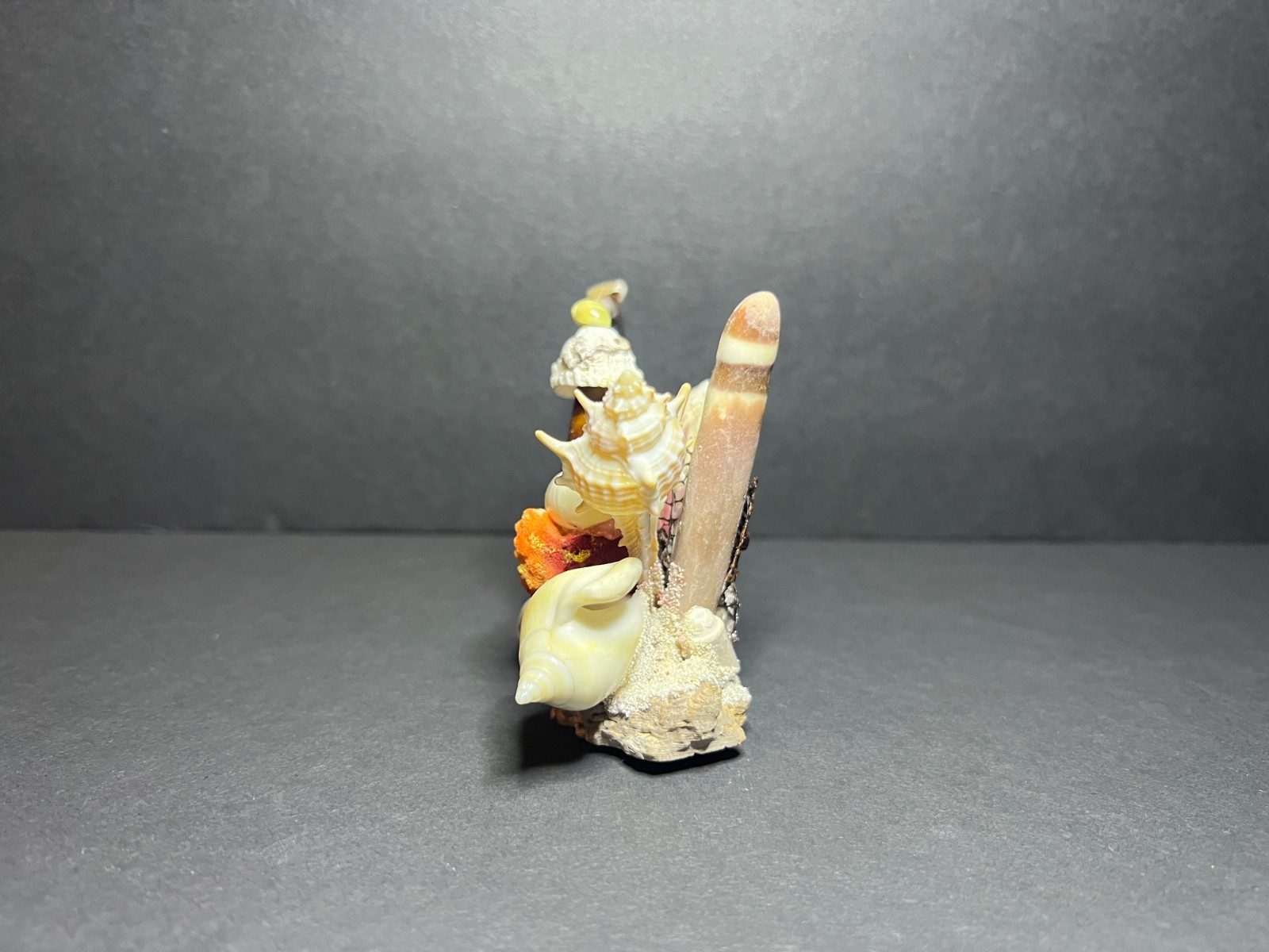 Vintage Decorative Nautical Aquatic Seashell Art Figurine Aruba Souvenir 3 x 5″