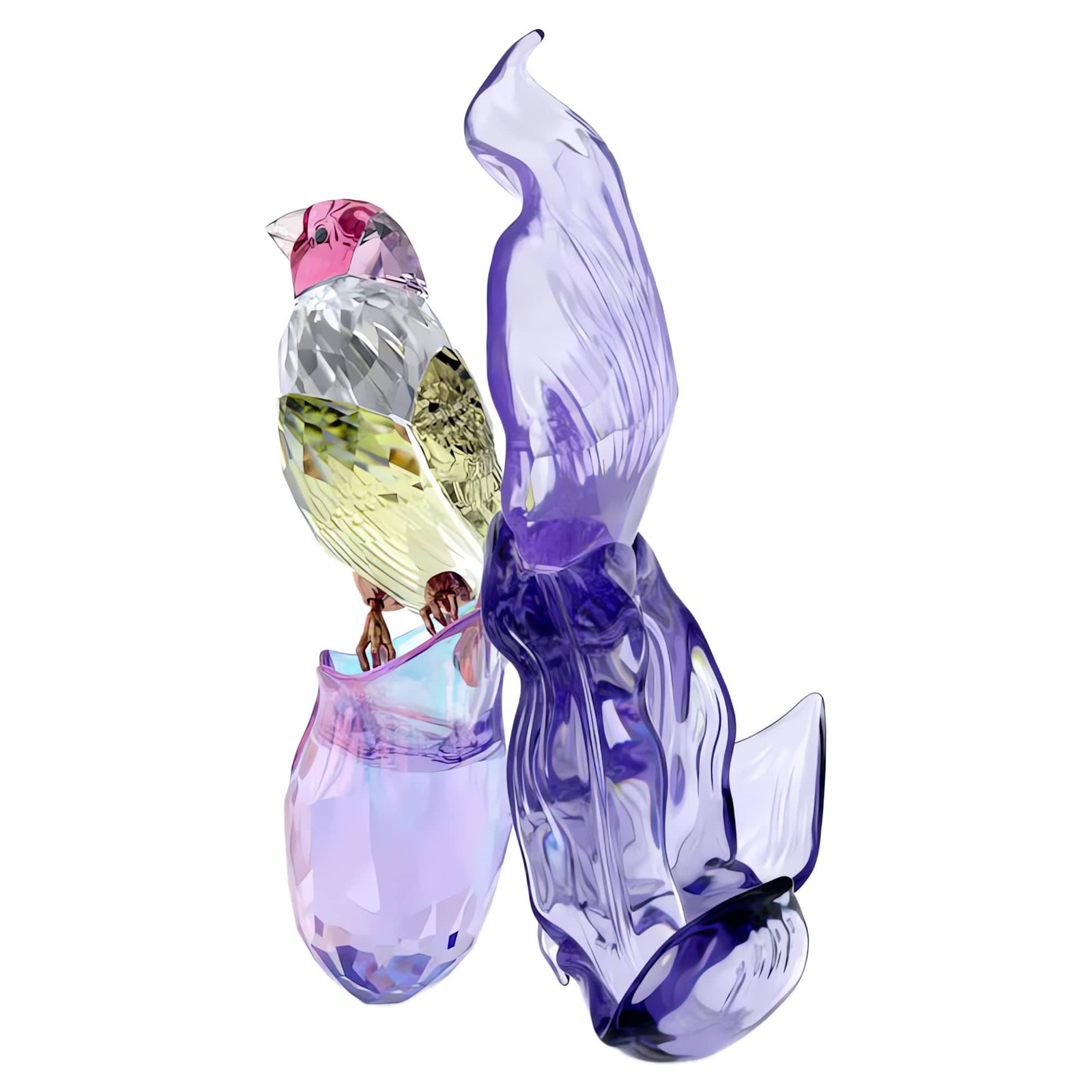 Swarovski Crystal, Idyllia, Gouldian Finch and Orchid, Figurine 5675211
