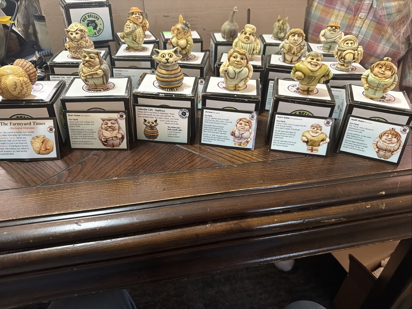 17 Pot belly Figurines With Boxes And Cards. Collectibles Animals People Dinos