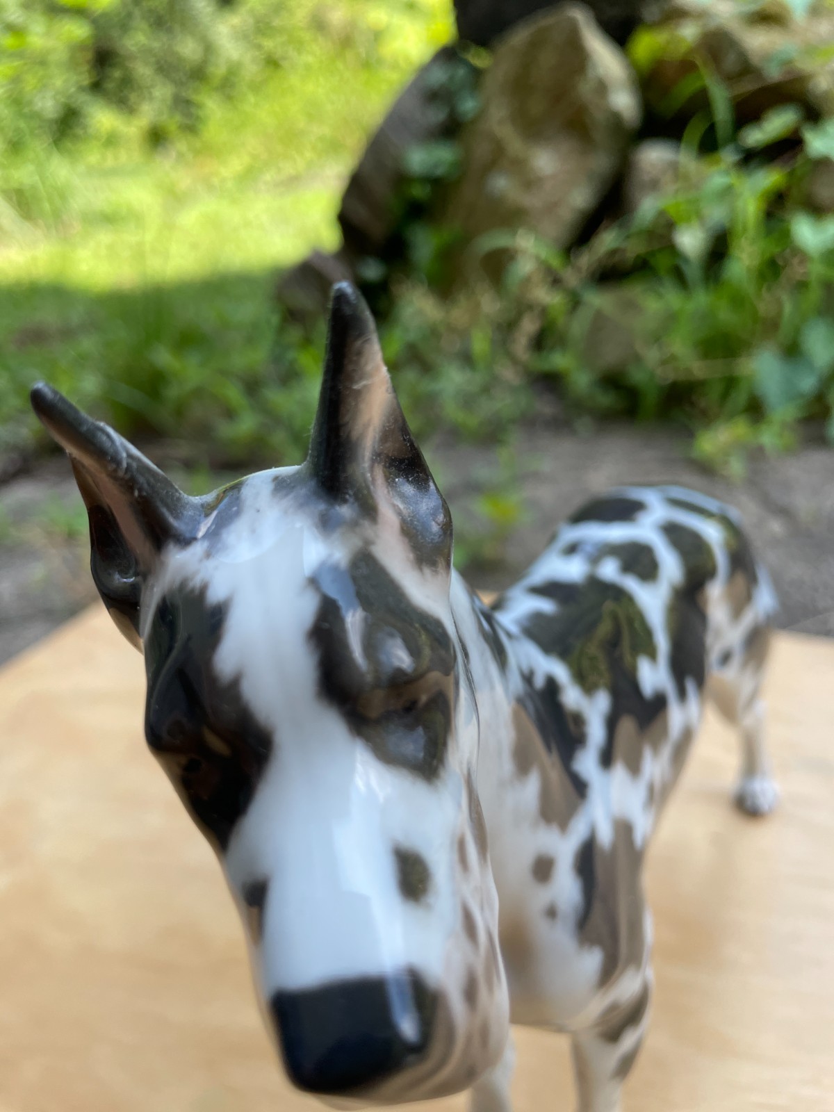 ROSENTHAL GERMANY – Harlequin Spotted Great Dane – 1960’s Hand Painted Porcelain