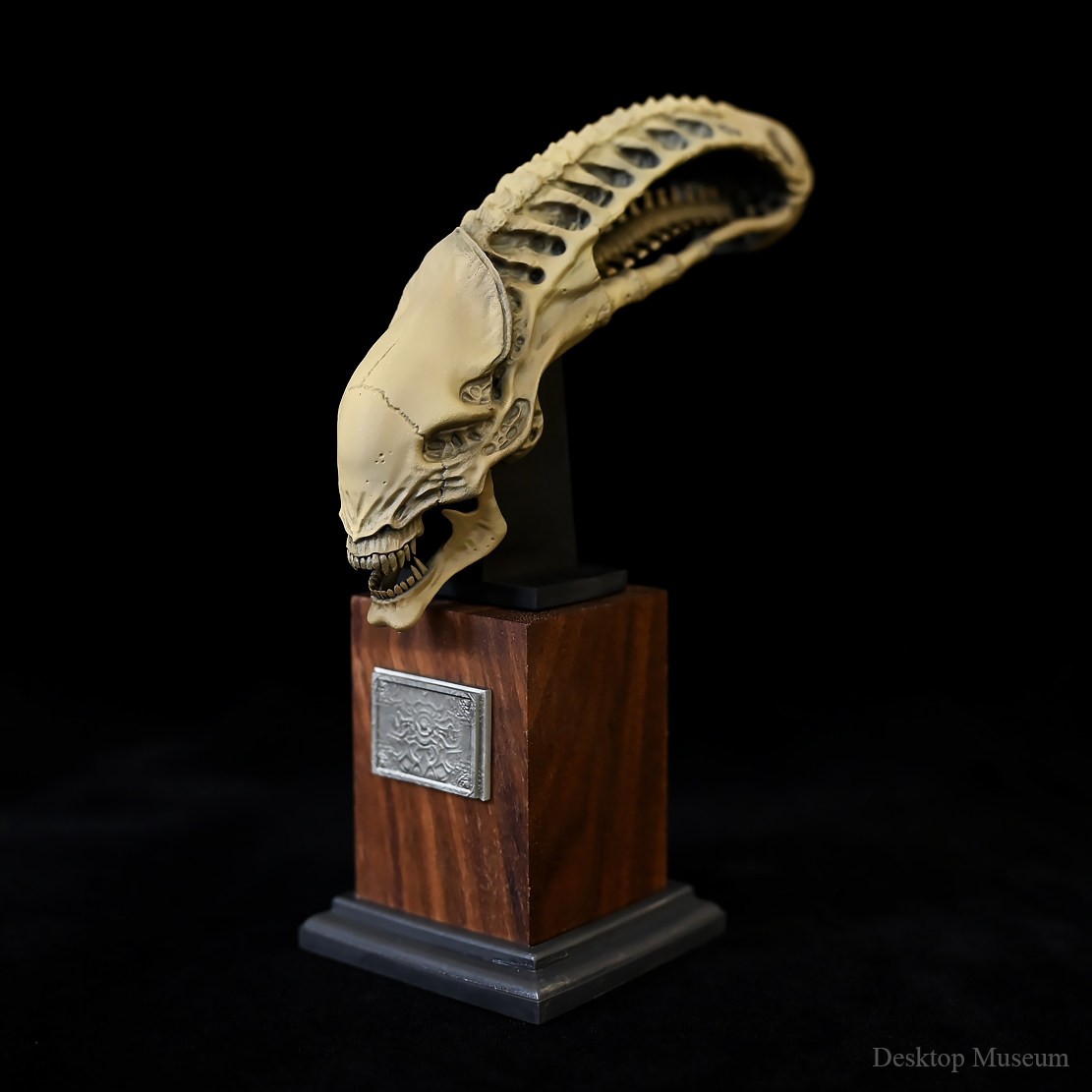 Desktop Museum Alien Skull Model Resin Ornament 15.5cm(H) New In Stock