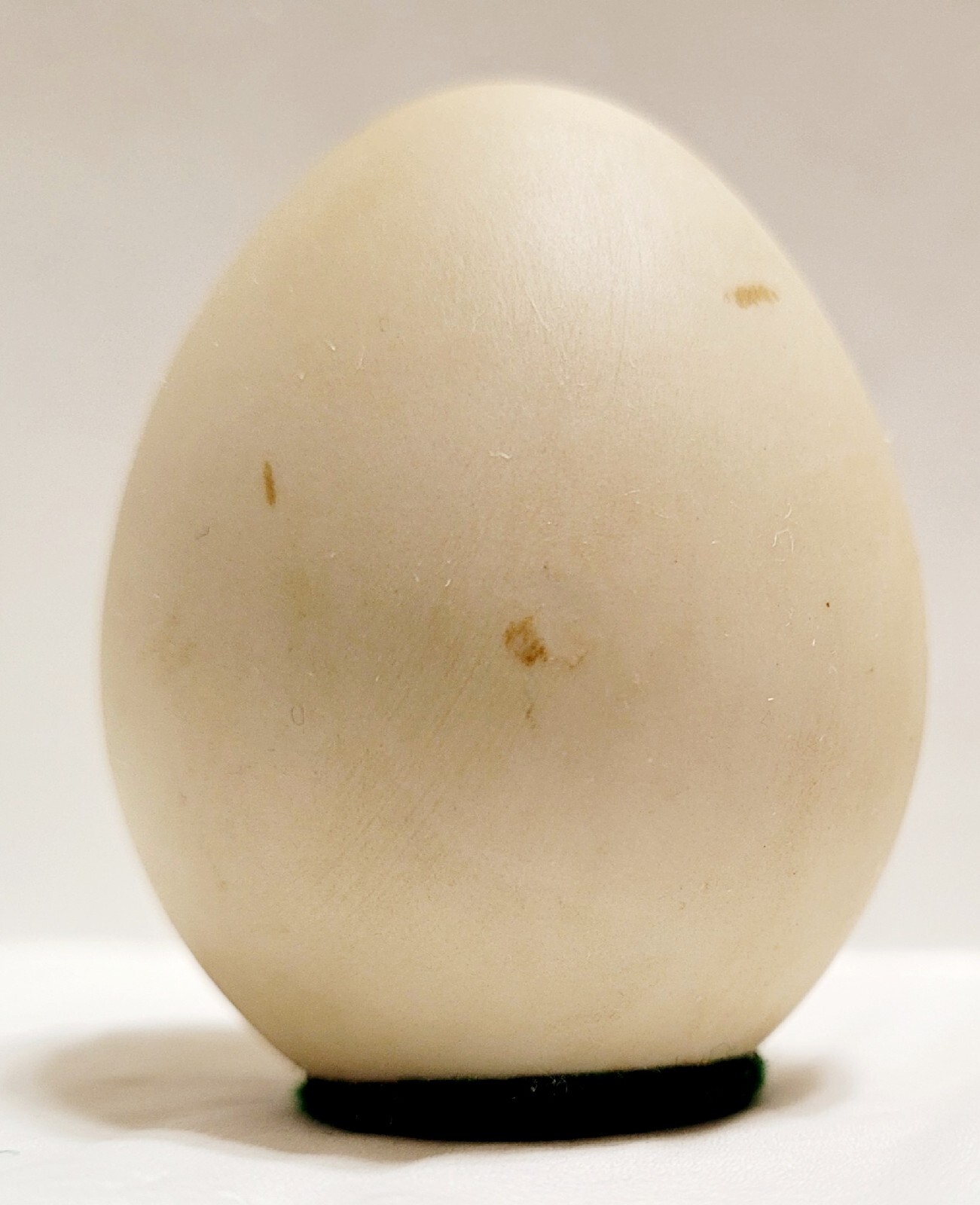 Decorative Egg Floral Painted Porcelain Ceramic Flower Collectable Figurine