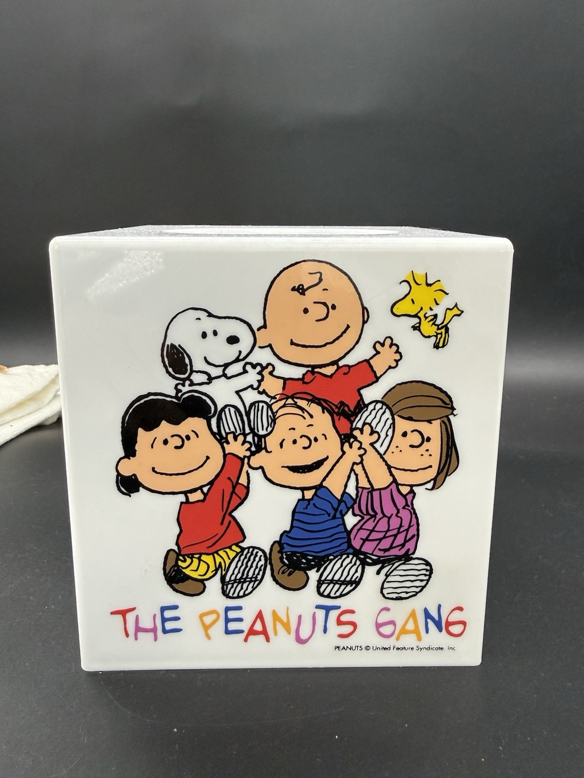 Peanuts Bathroom Collectible Set Snoopy Charlie Brown Linus Peanuts gang