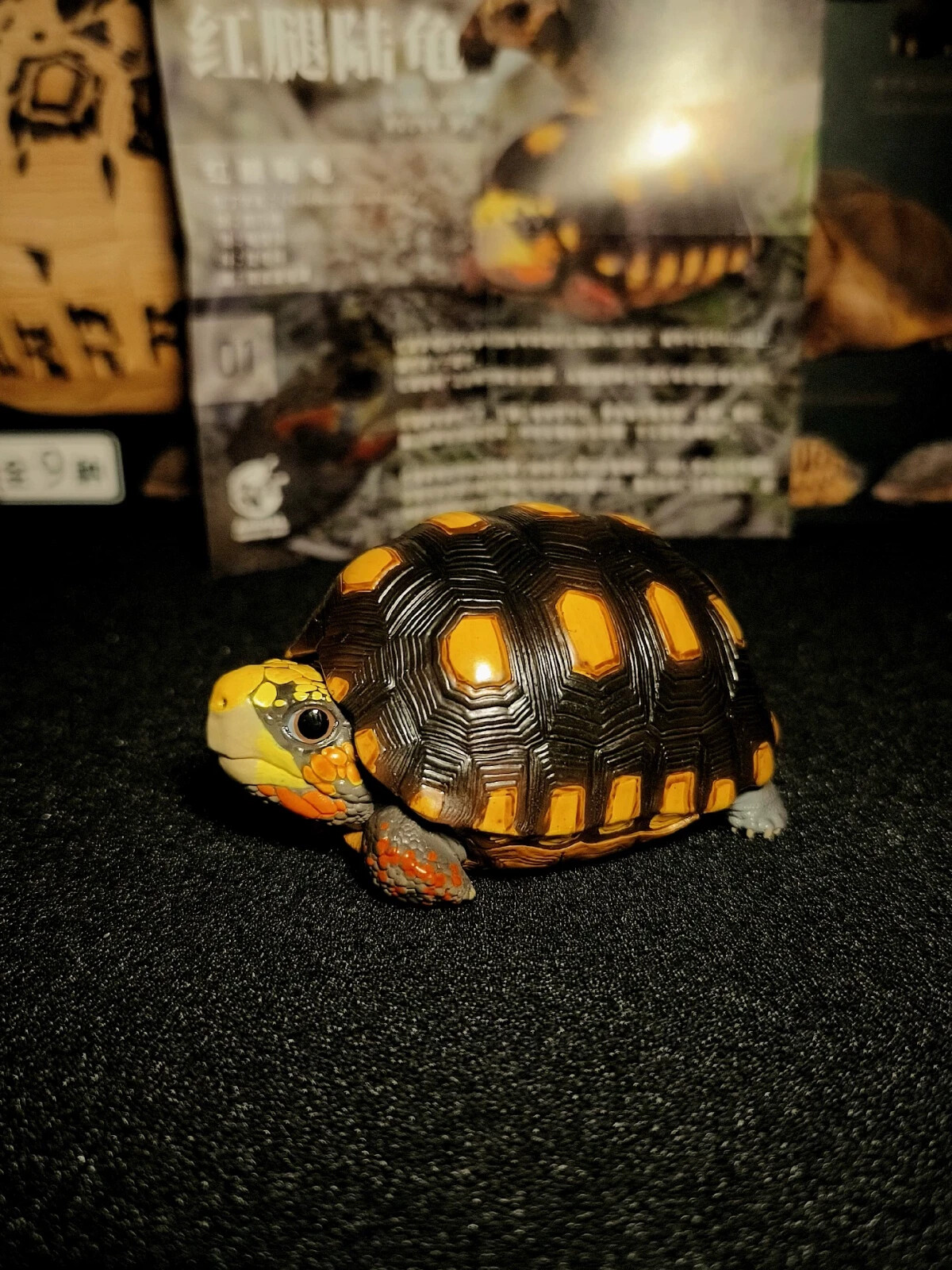 Animal Planet Red Footed Tortoise Animal Heavenly Body Collect Turtle Model