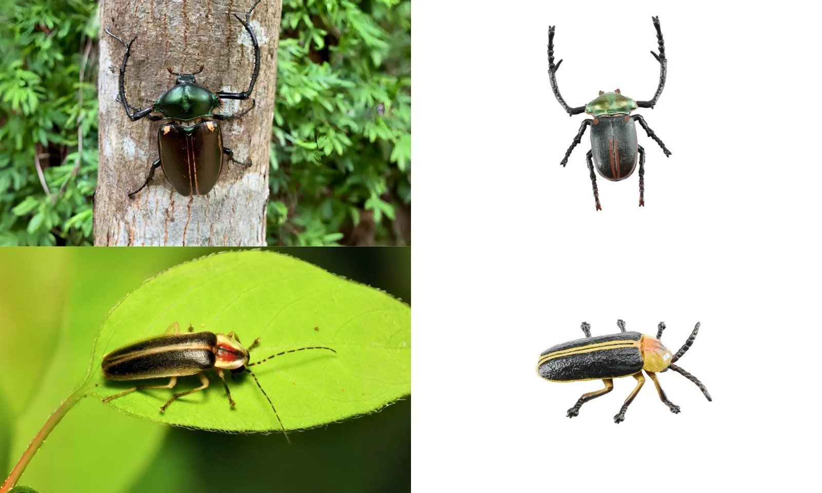 Toymany A Lot of Insects Animal Figurine, Realistic Collectible Toy Set