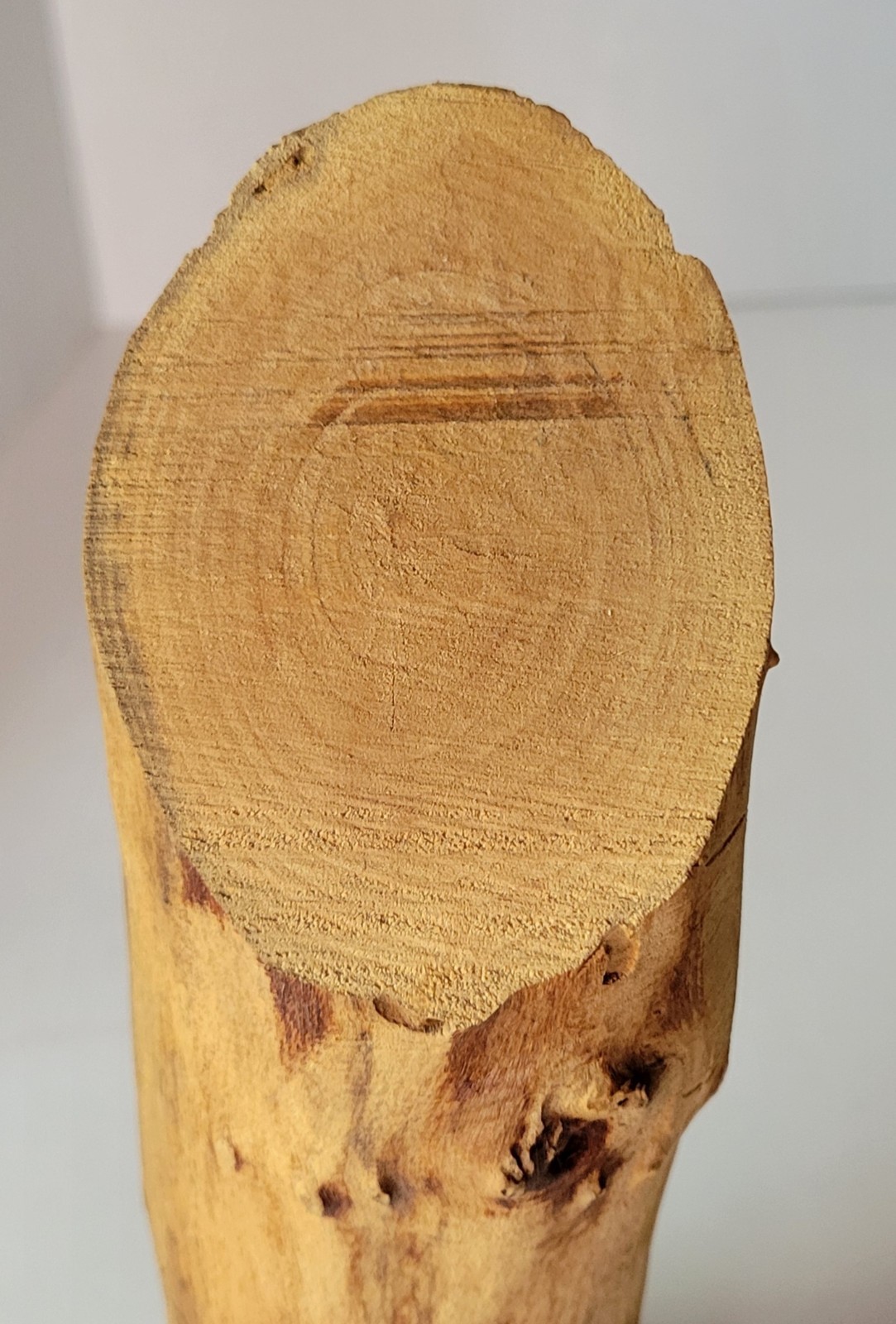 Hand-Carved Tree Spirit 11″ from Wood Branch Rustic Cabin Folk Art Décor Vintage