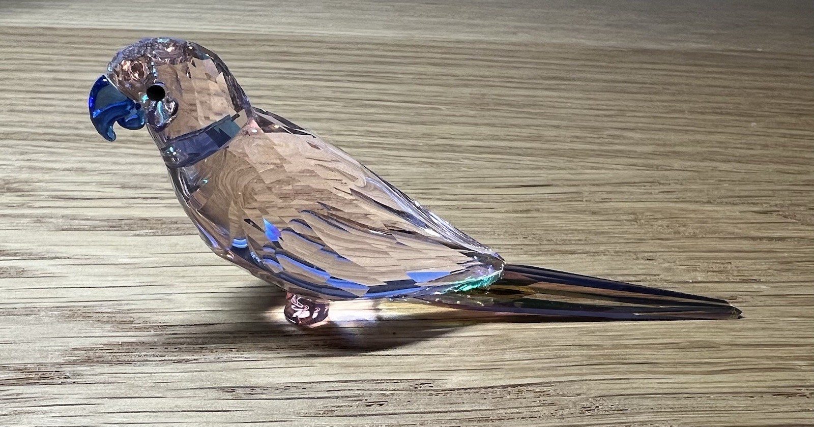 Swarovski Crystal Jungle Beats Parakeet Cha Cha Pink Bird Figurine 5557848