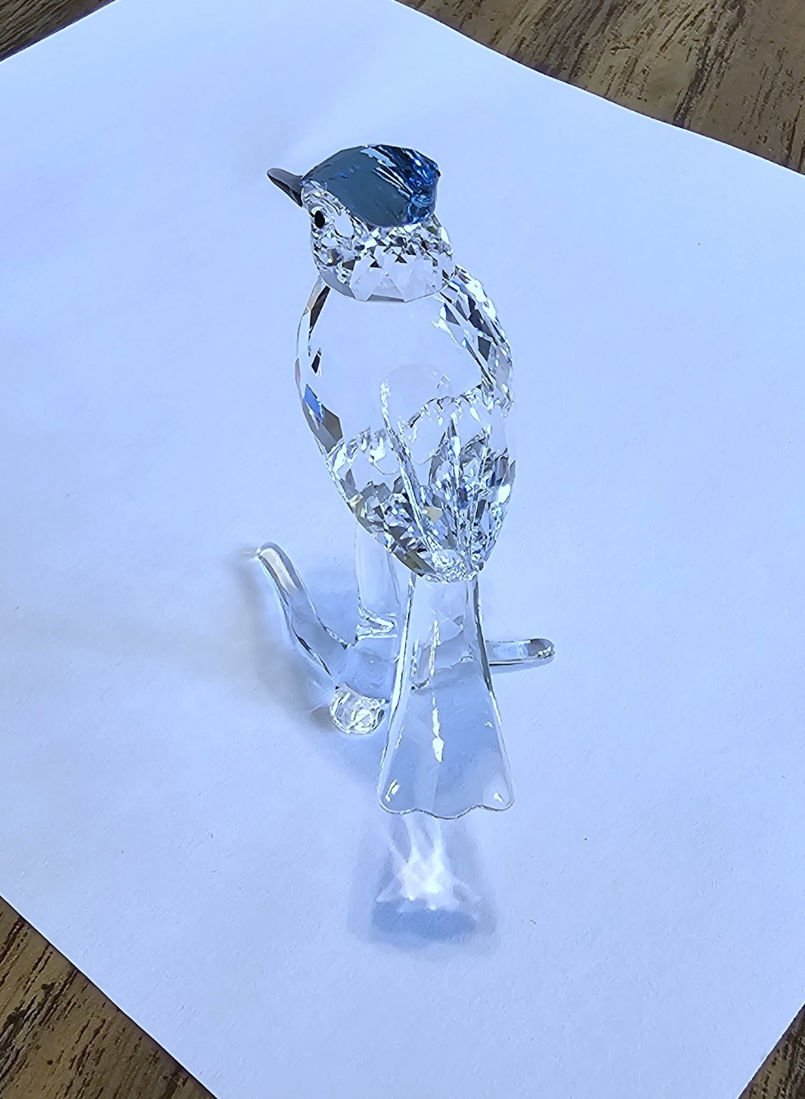 🐦 Swarovski Crystal 2019 Feathered Beauties, Large, Blue Jay Bird Figurine, NIB